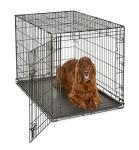 42-Inch Folding Metal Dog Crate for Large Breeds