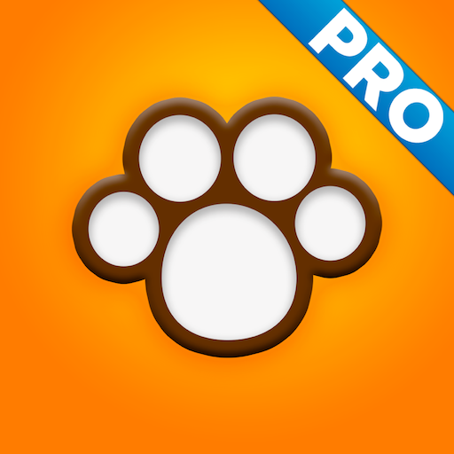 Ultimate Dog Breed Guide for Dog Lovers