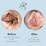 Pet Eye & Ear Wipes for Dogs & Cats