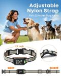 2-in-1 Dog Training Collar with Remote