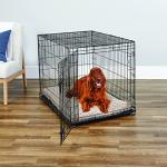 42-Inch Folding Metal Dog Crate for Large Breeds
