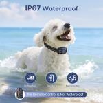 2-in-1 Dog Training Shock Collar with Remote