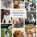 Ear Cleaner for Dogs and Cats – 8 oz