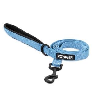 Voyager Reflective Dog Leash with Neoprene Handle