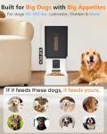 Large Automatic Dog Feeder with HD Camera