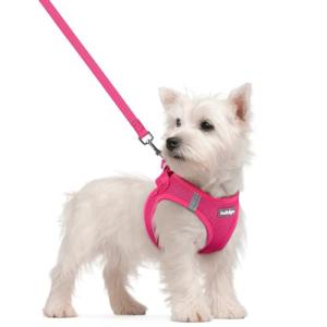 rabbitgoo Small Dog Harness and Leash Set