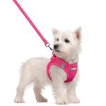 rabbitgoo Small Dog Harness and Leash Set