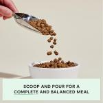 Open Farm Senior Grain-Free Dog Food 4lb