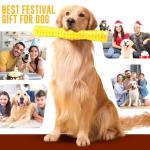 Durable Squeaky Chew Toys for Aggressive Dogs