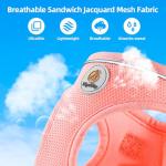 Soft Mesh No-Pull Dog Harness and Leash Set