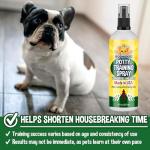 Bodhi Dog Potty Training Spray for Puppies