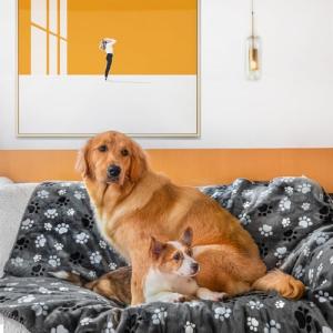 AIWEK Waterproof Pet Blanket for Dogs and Cats