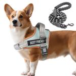 AUROTH No Pull Dog Harness and Leash Set