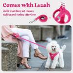 rabbitgoo Small Dog Harness and Leash Set