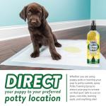 Bodhi Dog Potty Training Spray for Puppies