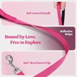 rabbitgoo Small Dog Harness and Leash Set