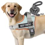 AUROTH No Pull Dog Harness and Leash Set
