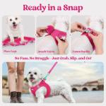 rabbitgoo Small Dog Harness and Leash Set