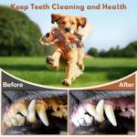 Squeaky Tug of War Toy for All Dogs