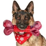 Apasiri Tough Beef Flavor Dog Chew Bone