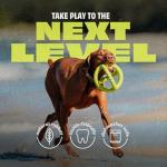 Benebone Natural Rubber Tug Dog Toy