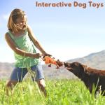 Squeaky Tug of War Toy for All Dogs