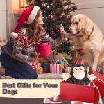 Letsmeet Plush Crinkle Dog Toy for All Sizes