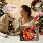 Apasiri Tough Beef Flavor Dog Chew Bone