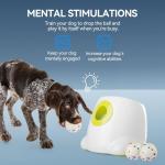 Automatic Dog Ball Launcher with 6 Balls