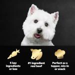 Cesar Simply Crafted Wet Dog Food, 10 Oz Pack