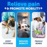 Hemp Joint Supplement Chews for Dogs - 120 Count