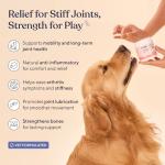 Pawfy Chew for Joint and Hip Health