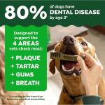 Greenies Dental Chews Petite Treats for Dogs