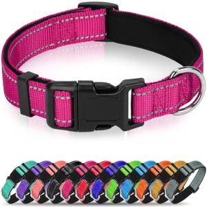 Erbine Hot Pink Reflective Dog Collar for Large Dogs