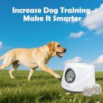 Automatic Ball Launcher for Small Dogs