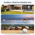 Automatic Ball Launcher for Medium & Large Dogs