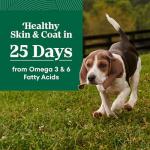 Nutro Wholesome Essentials Puppy Food with Chicken