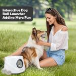 Automatic Ball Launcher for Small Dogs