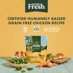 FreshPet Grain-Free Chicken Dog Food, 1.75 Lb