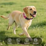 Erbine Hot Pink Reflective Dog Collar for Large Dogs