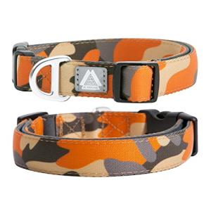 Adjustable Padded Dog Collar with Reflective Logo
