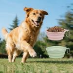 Set of 2 Portable Silicone Dog Bowls
