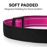 Erbine Hot Pink Reflective Dog Collar for Large Dogs