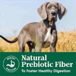 Nutro Wholesome Essentials Puppy Food with Chicken