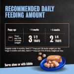 CESAR Soft Wet Puppy Food Chicken & Beef 24-Pack