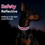 Erbine Hot Pink Reflective Dog Collar for Large Dogs