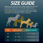 Adjustable Padded Dog Collar with Reflective Logo