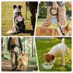 Set of 2 Portable Silicone Dog Bowls