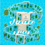 Cute Blue Sea Turtle Dog Collar for All Breeds