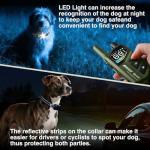 ELOOP 2-in-1 Smart Dog Bark Training Collar